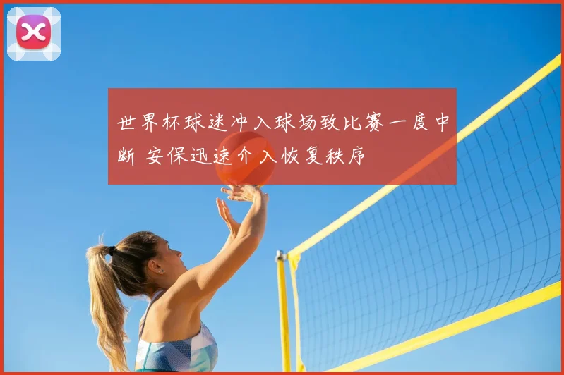 世界杯球迷冲入球场致比赛一度中断 安保迅速介入恢复秩序