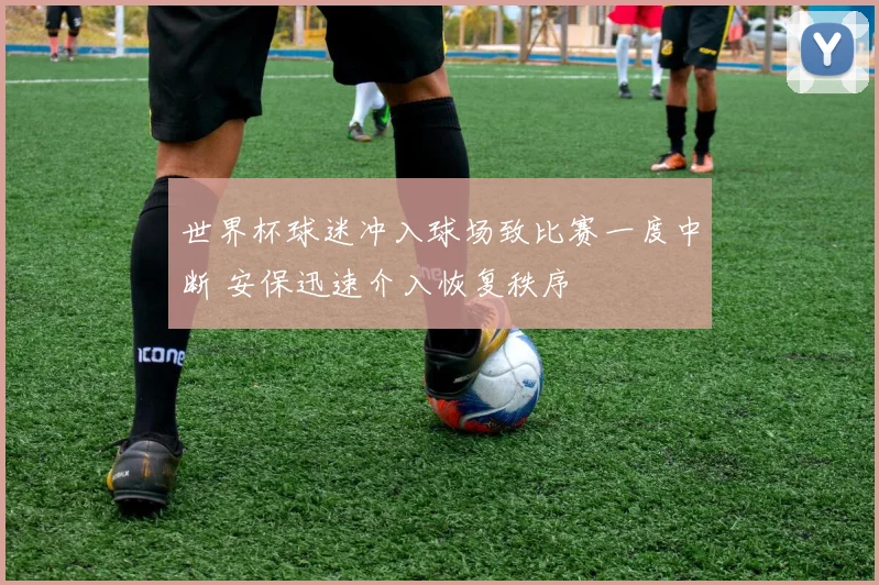 世界杯球迷冲入球场致比赛一度中断 安保迅速介入恢复秩序