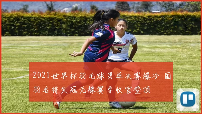 2021世界杯羽毛球男单决赛爆冷 国羽名将失冠无缘赛季收官登顶